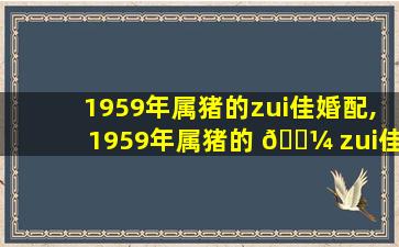 1959年属猪的zui
佳婚配,1959年属猪的 🌼 zui
佳婚配是什么